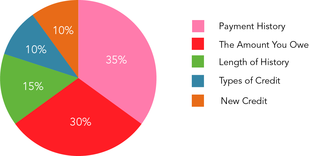 Credit score pie chart