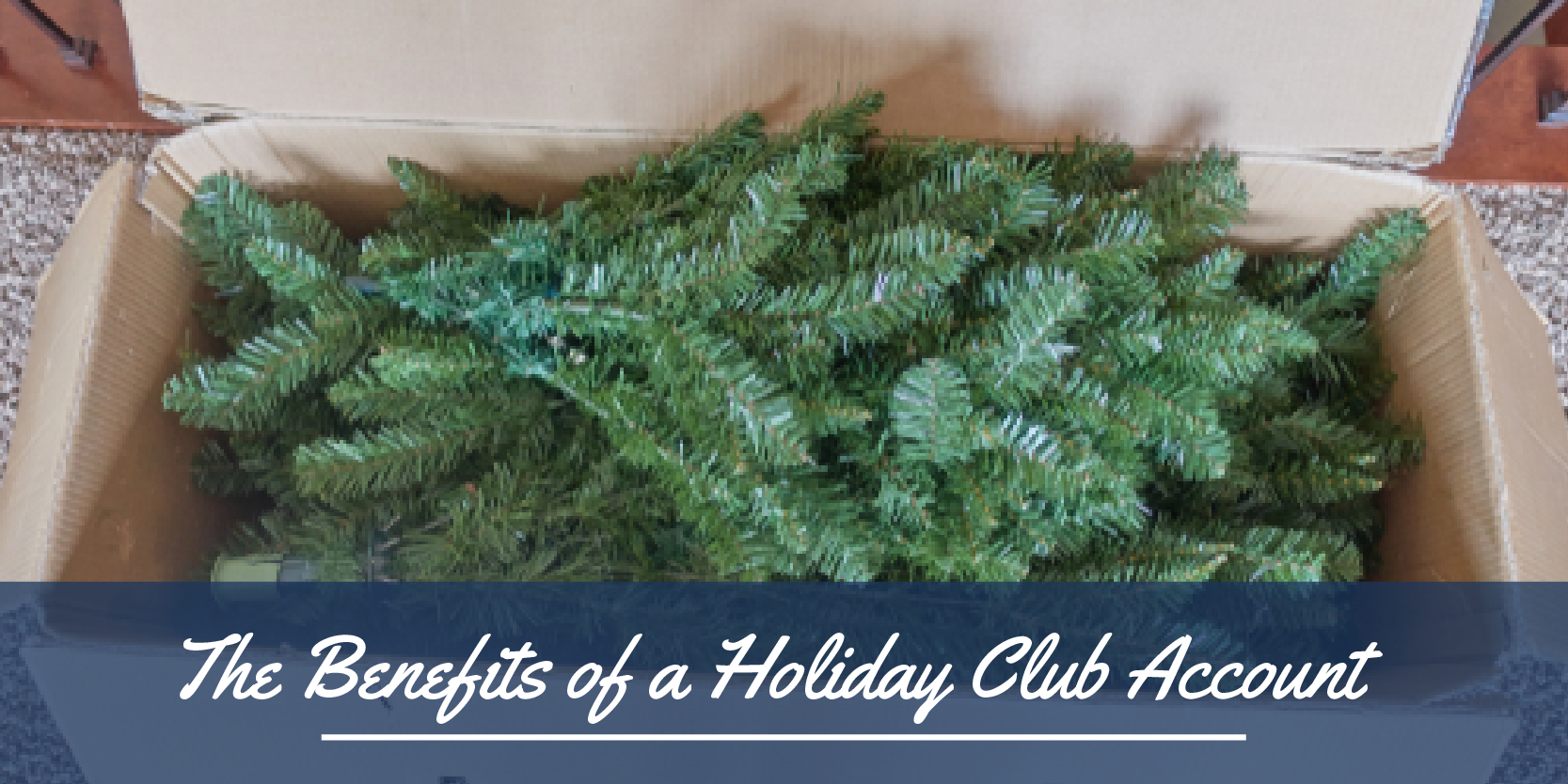 January blog header graphic-01