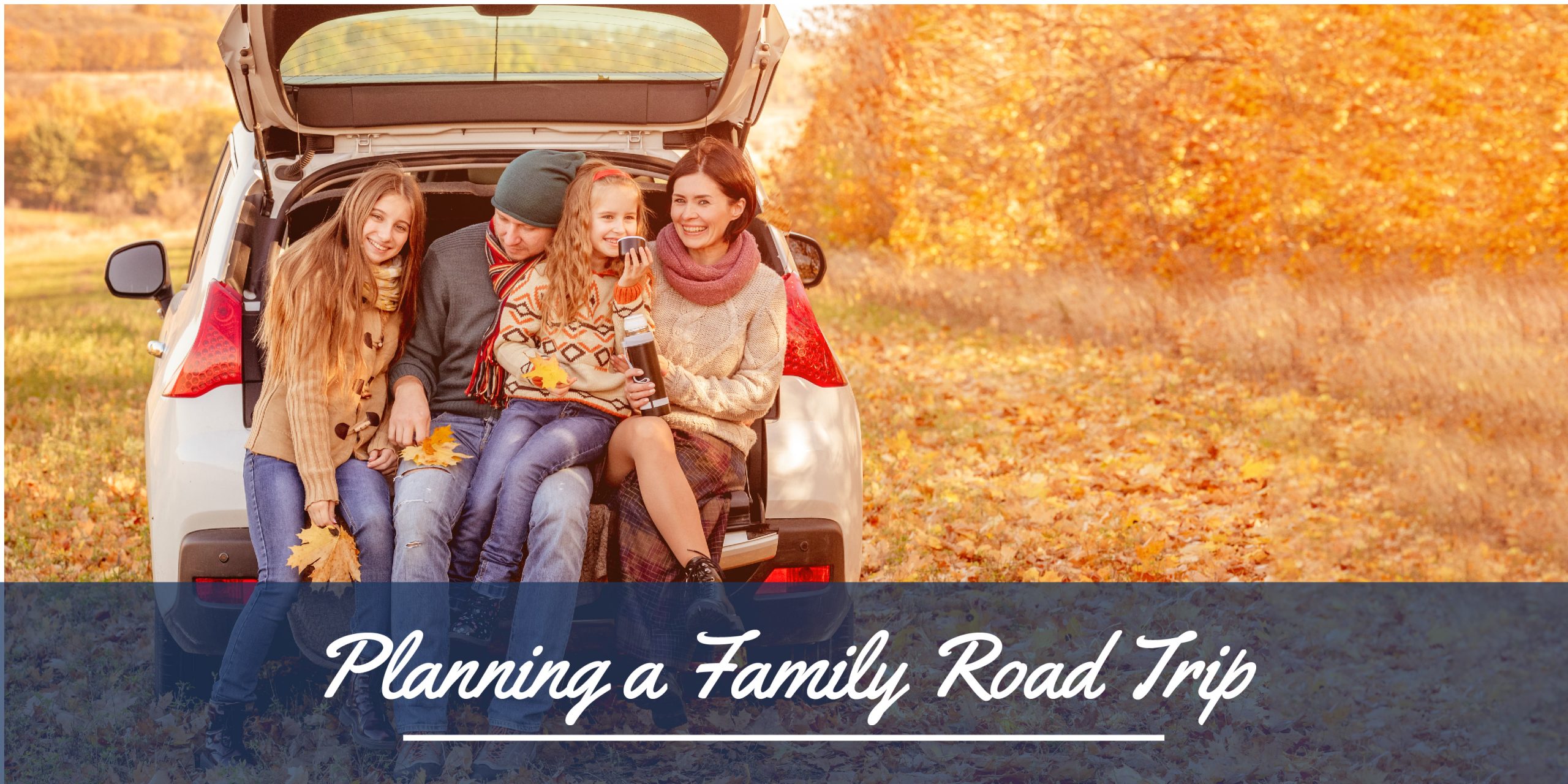 November listicle header graphic-01